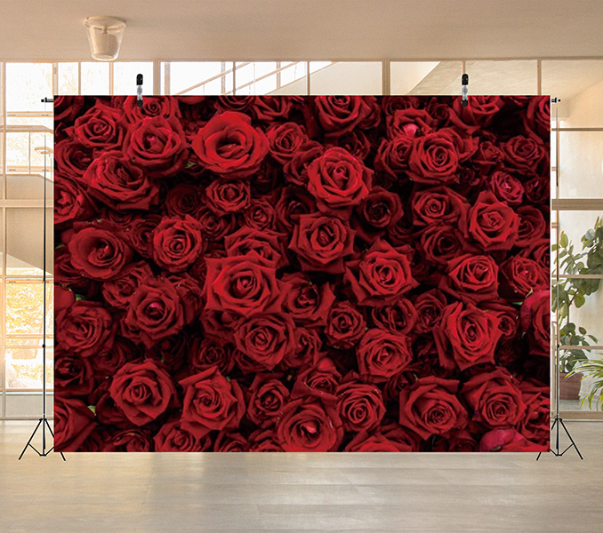 Custom Photo Booth Backdrops | Social Butterfly 360